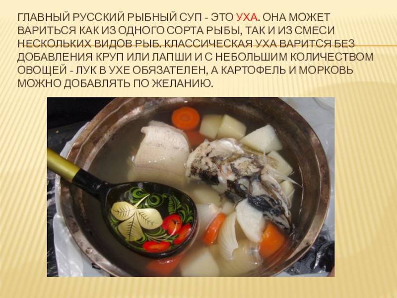 Как вкусно сварить уху из речной и красной рыбы