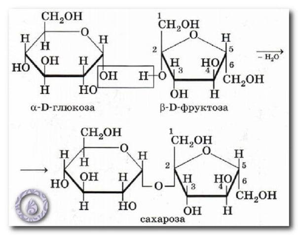 Фруктоза или сахар: что слаще, лучше, вреднее