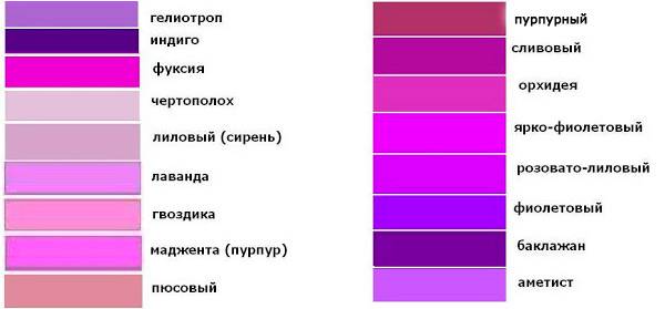 В чем разница между сиреневым и фиолетовым: расшифровка оттенков