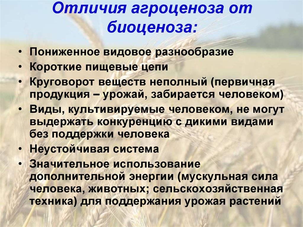 Примеры и сравнительная характеристика естественных и искусственных экосистем