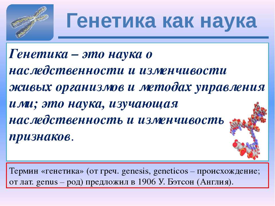 Что такое генетика в биологии