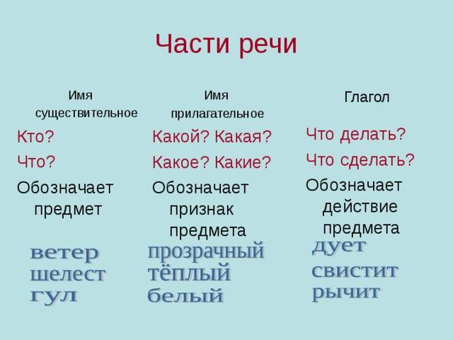 Имя существительное и имя прилагательное: что это и в чем разница?