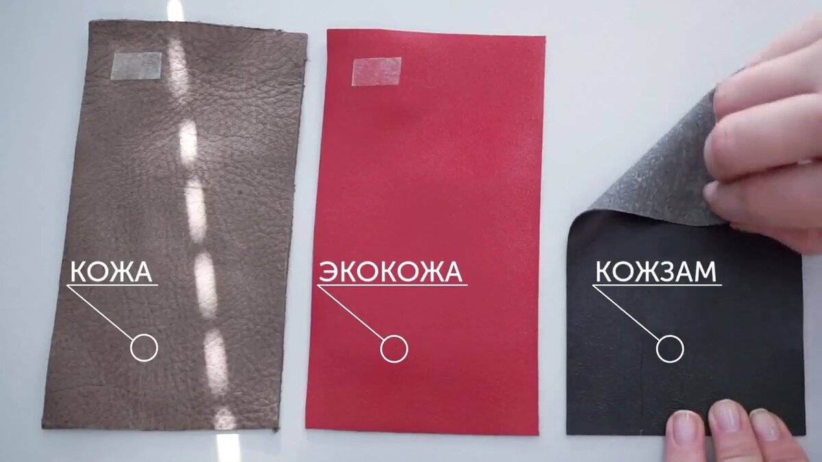 Экокожа: что это такое и чем отличается
