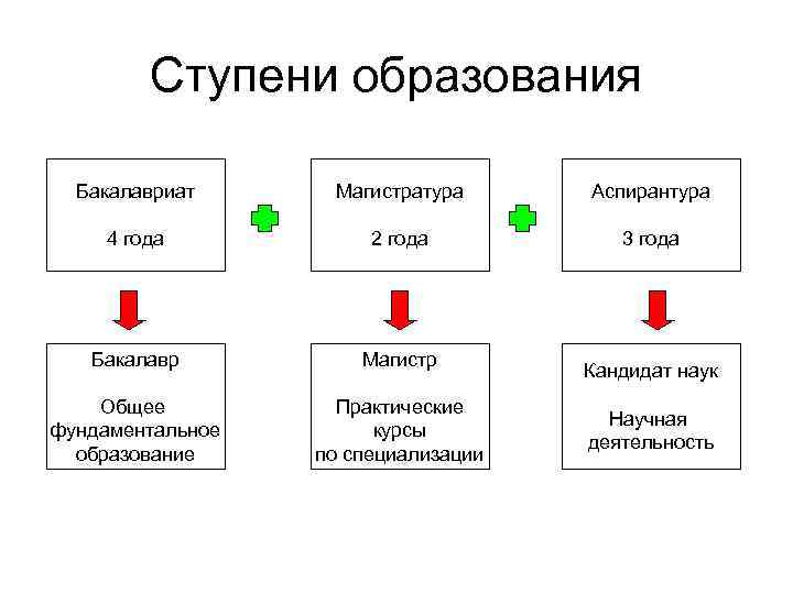 Бакалавриат специалитет магистратура в чем разница
