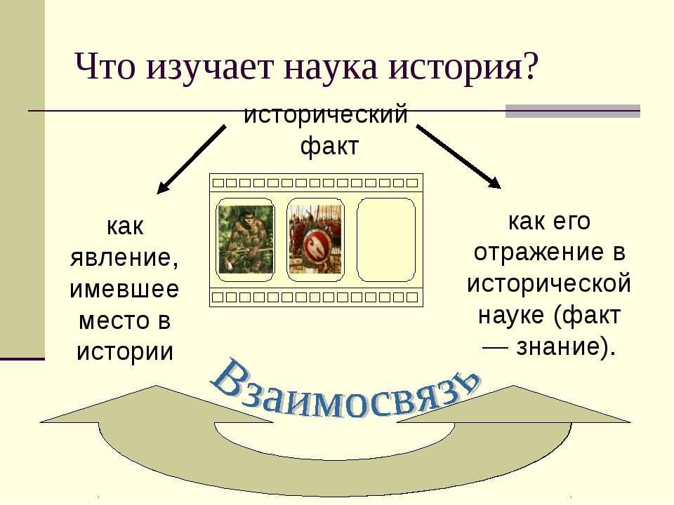 Какие науки являются историческими. что изучают история и смежные науки ???? - studyinfocus