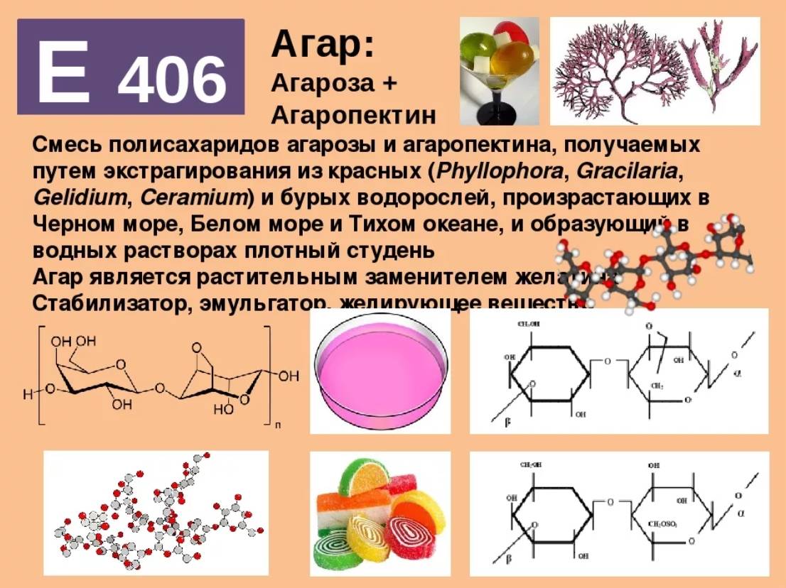 Что такое агар-агар в кулинарии и  куда его добавлять