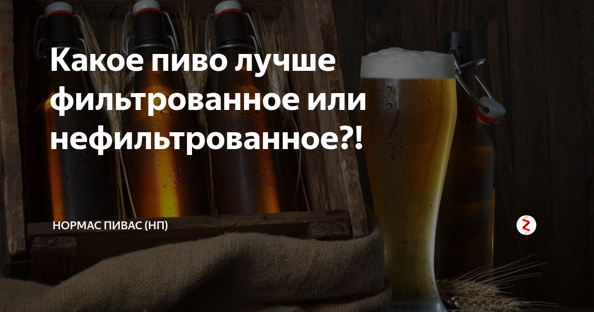 Нефильтрованное пиво: свойства и отличия от фильтрованного