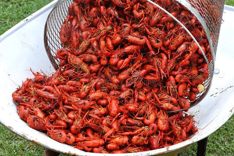 Чем питаются речные раки