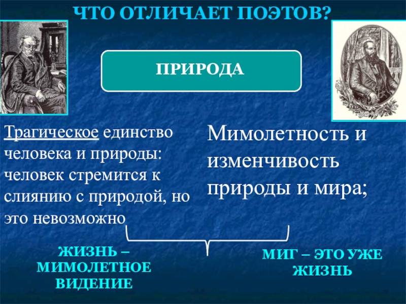 Чем отличается поэт от стихотворца. важно понять разницу