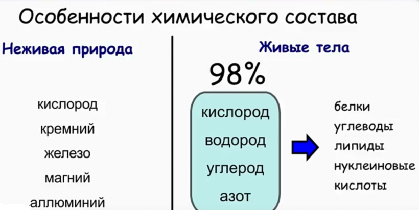 Живая и неживая природа: признаки, свойства, сходства и различия. связь живой и неживой природы.