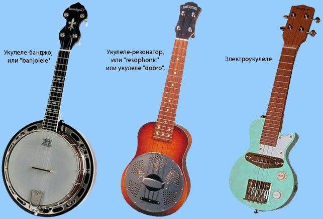 Где закалено гитара и какой процесс у гитары отличается от процесса укулеле?