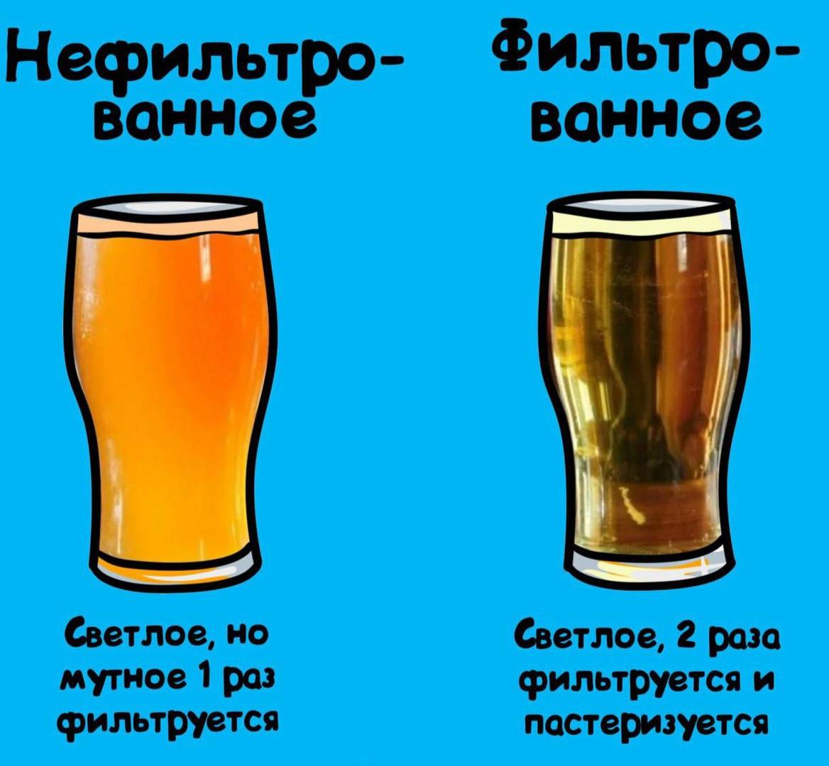 Чем квас отличается от пива? - вопросник.про