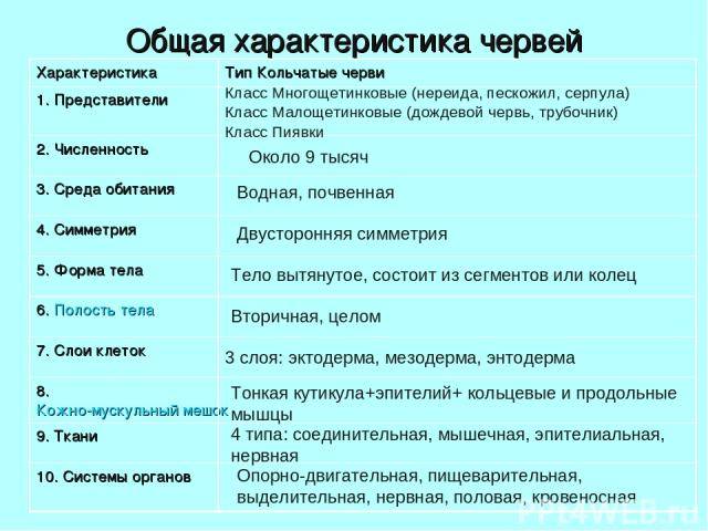 Какой группе относится нереис?