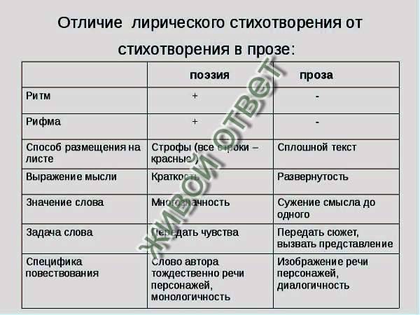 Чем отличается басня от стихотворения?
