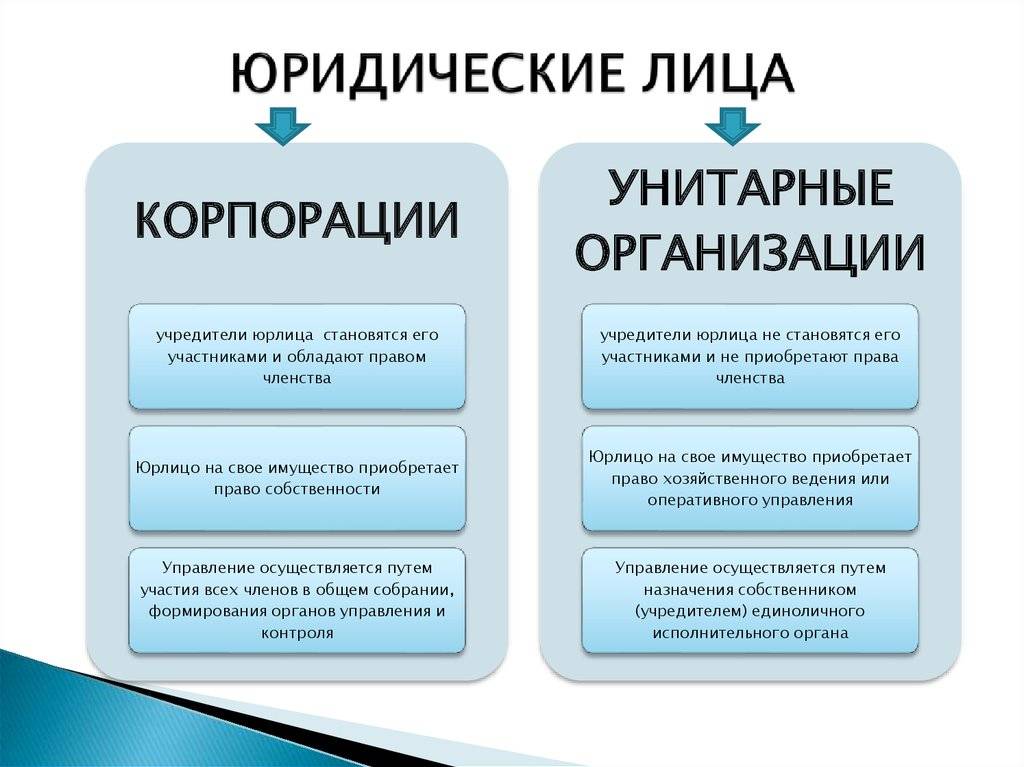 Разница между организацией и учреждением - образование - 2024