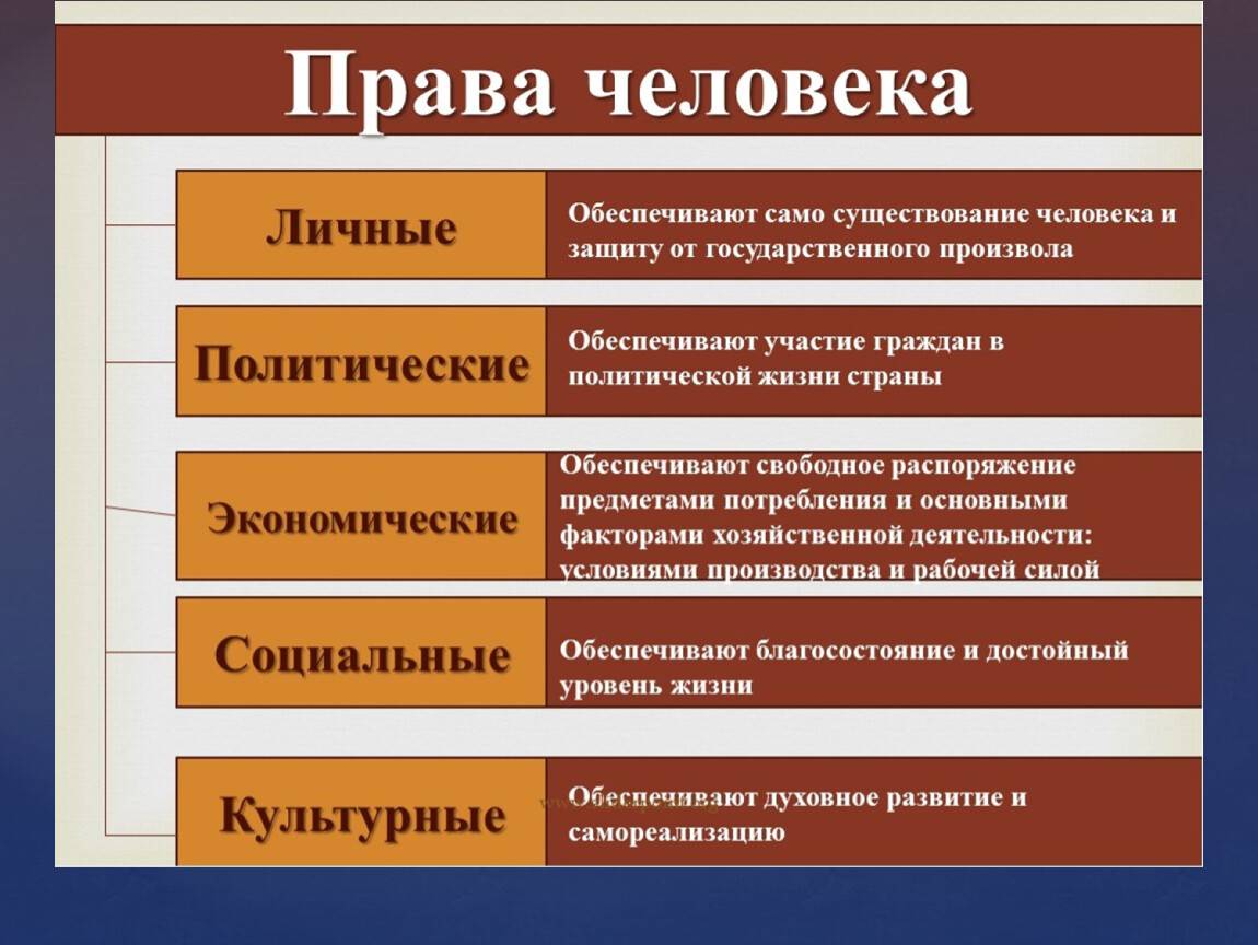 Право и свобода человека и гражданина: разграничение понятий