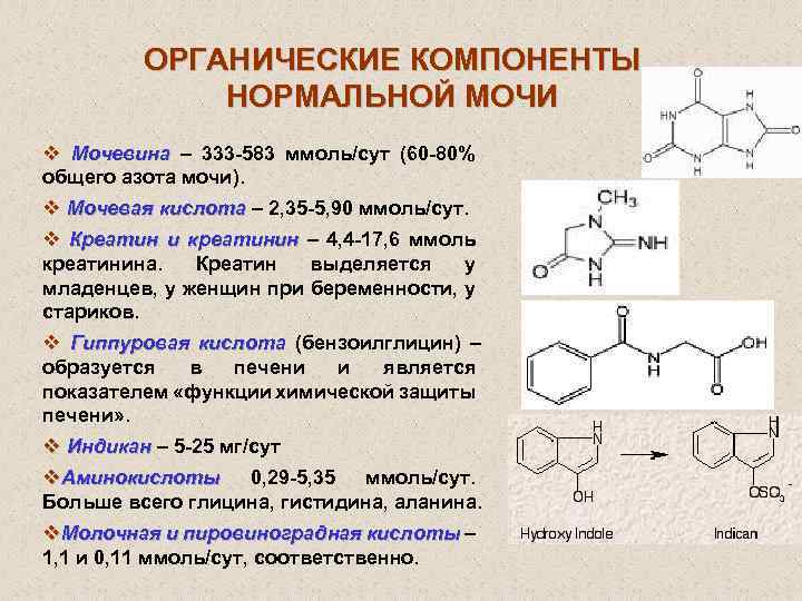 Мочевая кислота в крови повышена: причины, симптомы, лечение