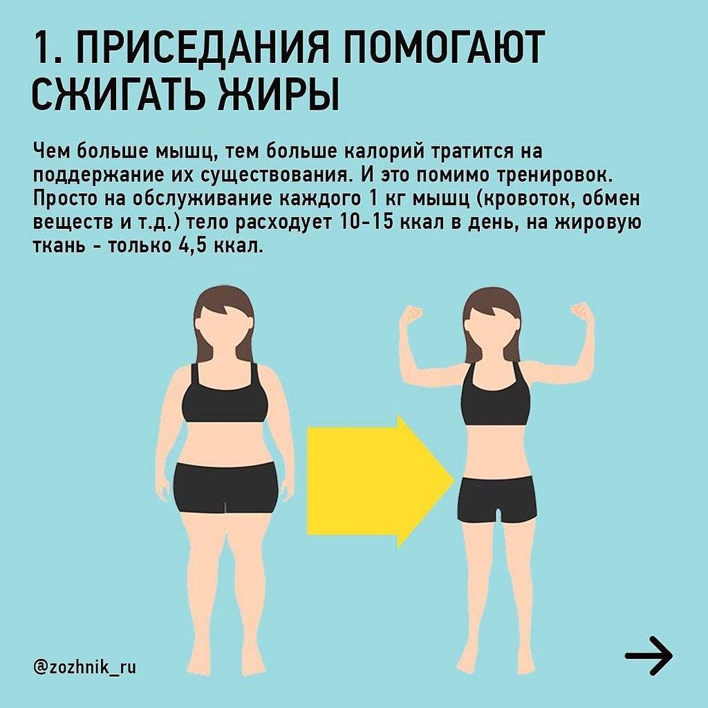 Приседания: чем полезны и вредны | польза и вред