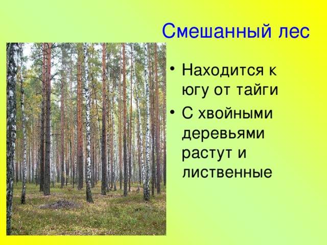 Параграф 24 - естествознание. 10 класс. габриелян о. с. — викирешебник