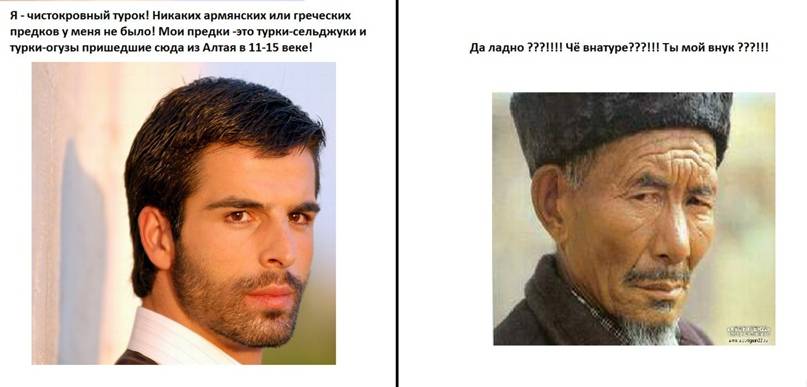 Иранцы это арабы или нет?
