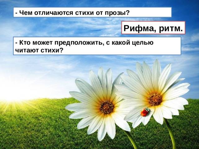 Разница между стихом и прозой (с таблицей)