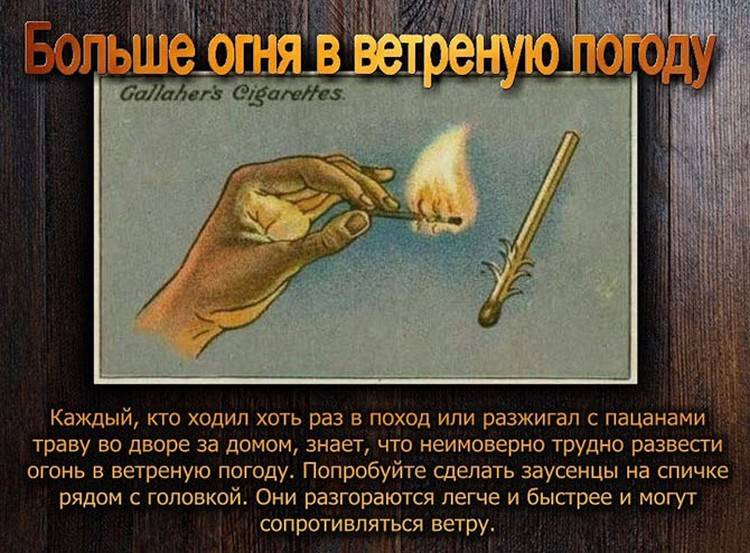 Чем сигары отличаются от сигарет?