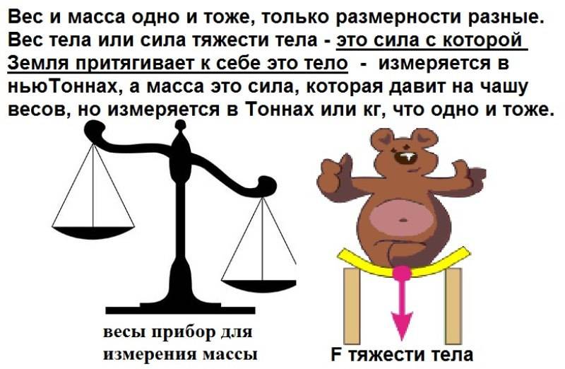 Вес тела: что из себя представляет, в чём измеряется, формула и расчёт