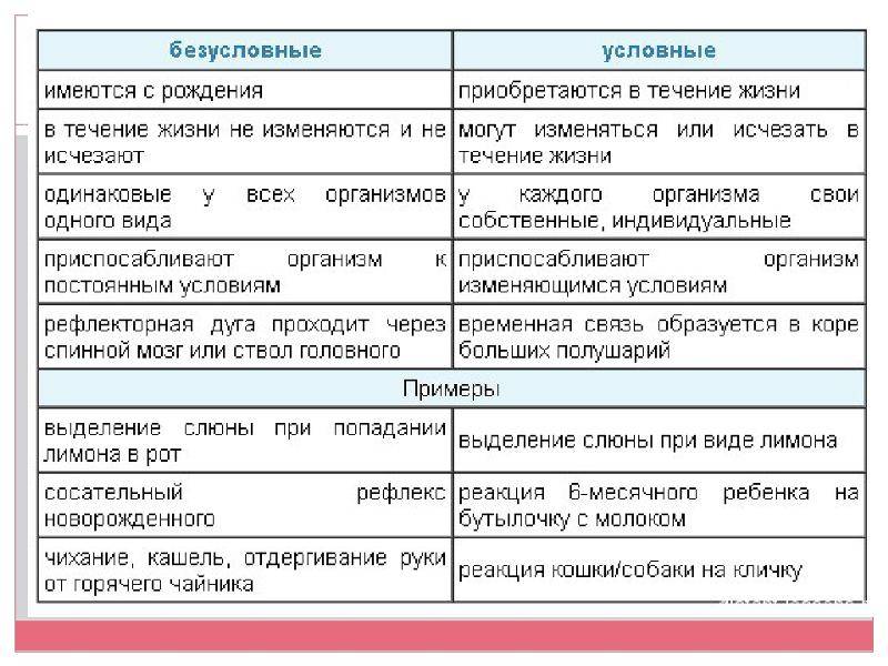 Рефлексы и инстинкты