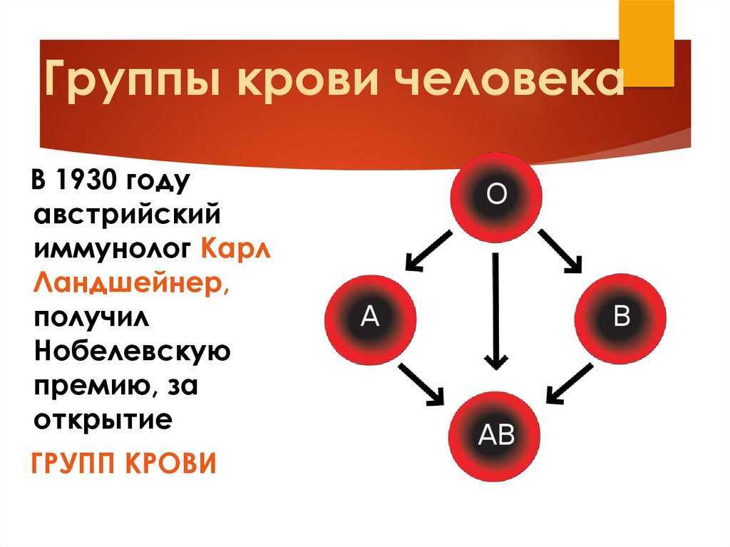 Таблица обозначения групп крови человека