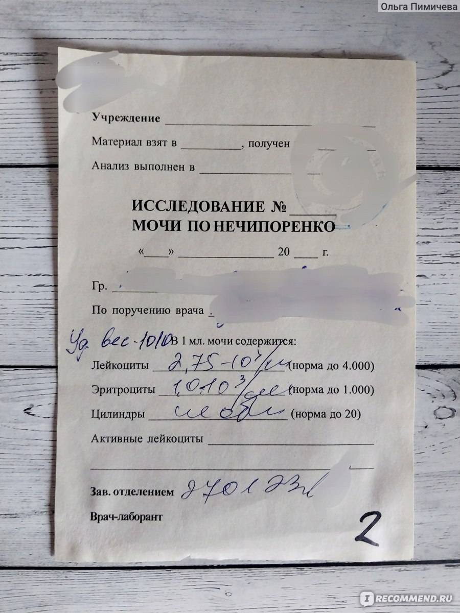 Важные аспекты анализа мочи по нечипоренко у беременных