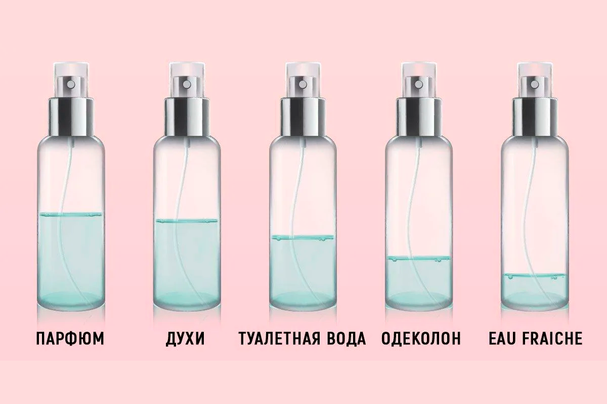 Чем отличается парфюмерная вода от туалетной, чем отличается туалетная вода от духов - виды парфюмерии / интернет-магазин украшений миледи