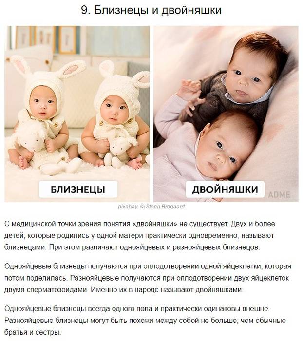 Двойняшки или близнецы: секреты терминологии