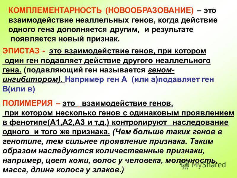 Основные генетические понятия. закономерности наследственности. генетика человека. | егэ по биологии, подготовка от экзамера