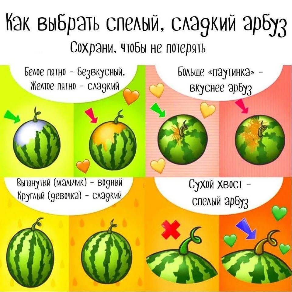 Как выбрать арбуз: 14 шагов (с иллюстрациями)