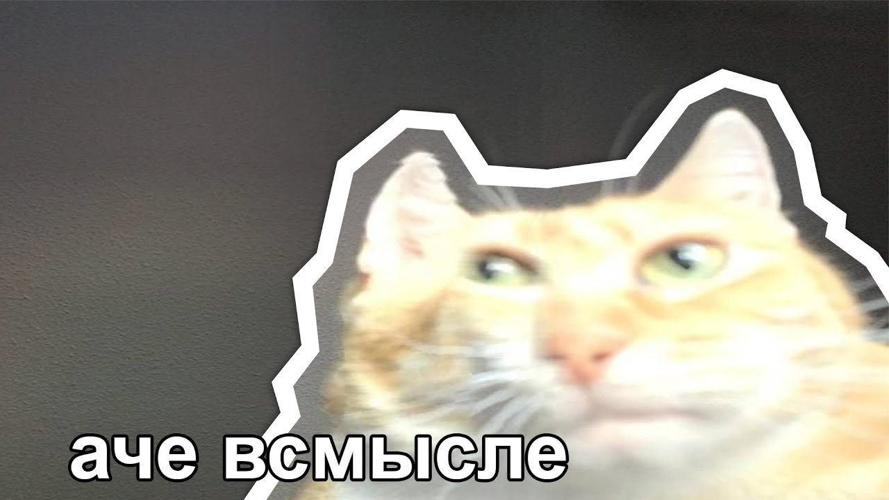 Всмысле или в смысле как: разбираем по-русский