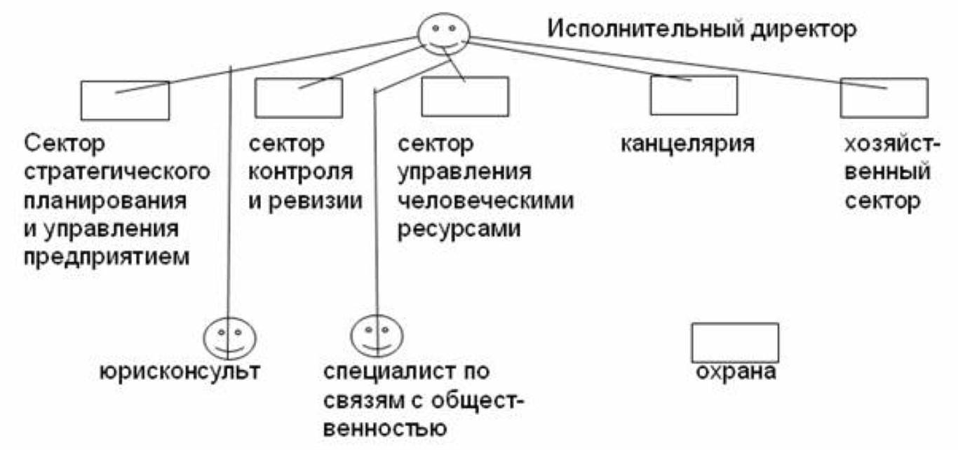 Особенности статуса генерального директора