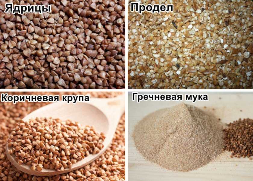 Готовим гречневый продел на воде и молоке: рецепты и советы
