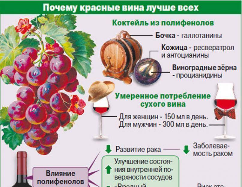 Польза белого вина и превосходство красного: свойства и отличия