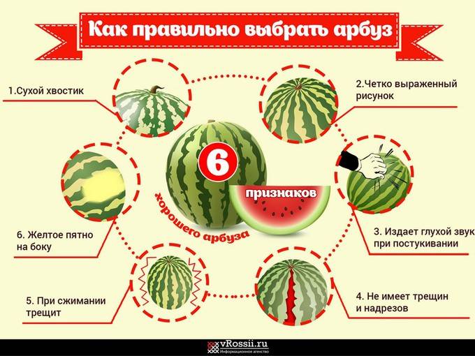 Как правильно выбрать арбуз?