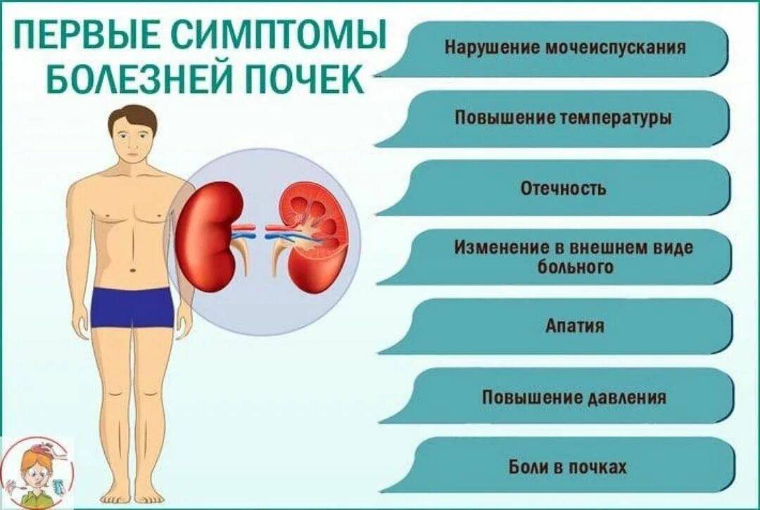 Как определить, что болит: поясница или почки?