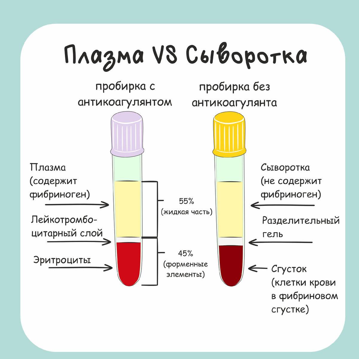 Plasma vs serum: difference and comparison
