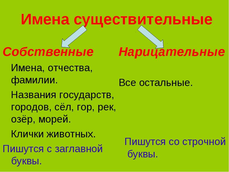 Имя существительное. русский язык. учебное пособие