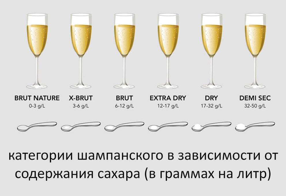 Гид по игристым винам — категории и способы производства