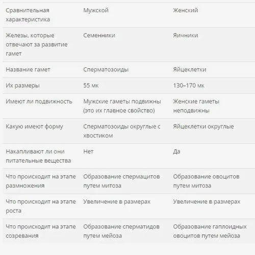 Яйцеклетки и cпepматозоиды. строение и развитие пoлoвых клеток