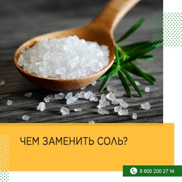 7 полезных способов заменить соль в питании: альтернативы для здорового питания