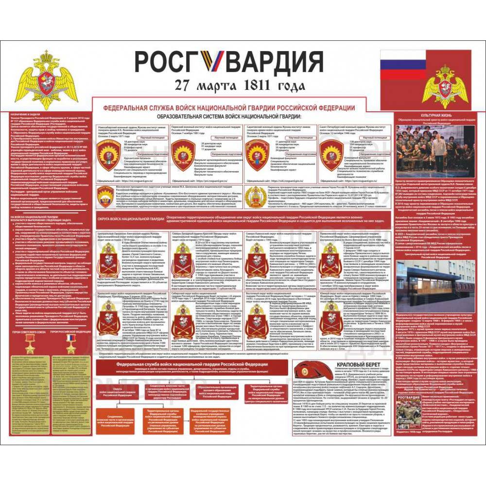 Нац. гвардия в россии – что это за структура
