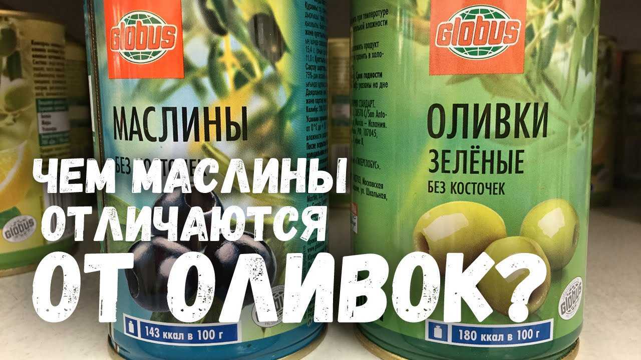 Основные отличия оливок от маслин: польза, вред и с чем их подавать