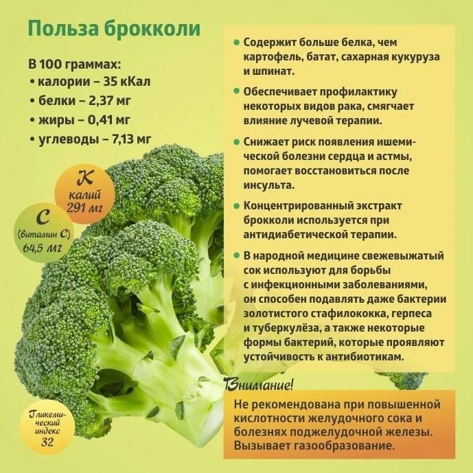 Что полезнее брокколи или цветная капуста? | польза и вред