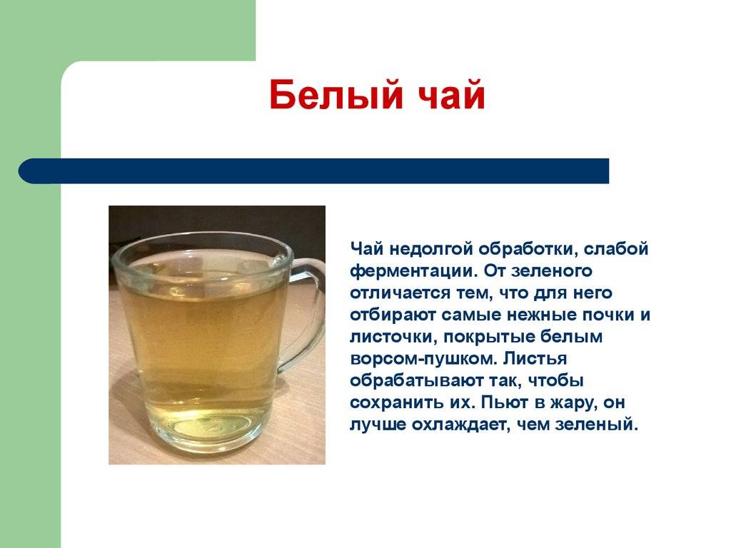 Разница между зеленым и белым чаем