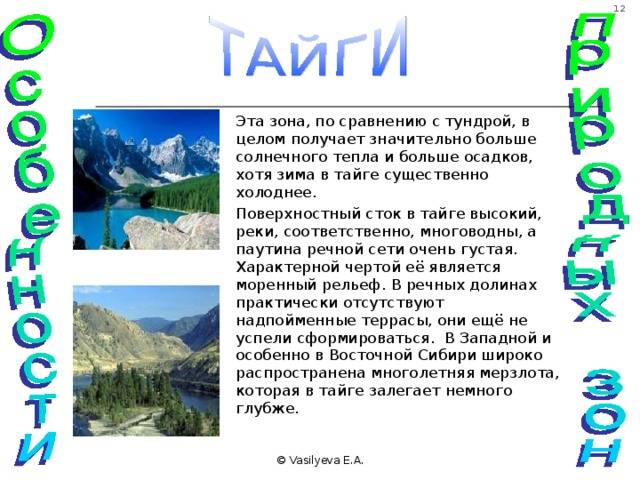 Тундра и тайга: какие различия между ними?